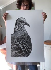 Image 4 of Turtle Dove 1 Original Lino Print