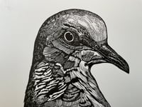 Image 3 of Turtle Dove 1 Original Lino Print