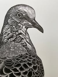 Image 2 of Turtle Dove 1 Original Lino Print