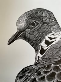 Image 3 of Turtle Dove 2 Original Lino Print