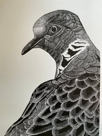 Image 2 of Turtle Dove 2 Original Lino Print