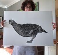 Image 3 of Grey Partridge Original Lino Print