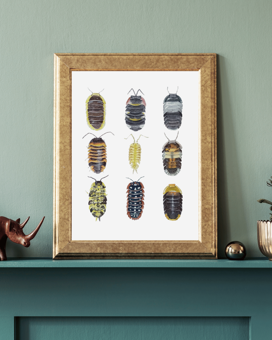 Image of Isopods Study Watercolor Illustration PRINT 