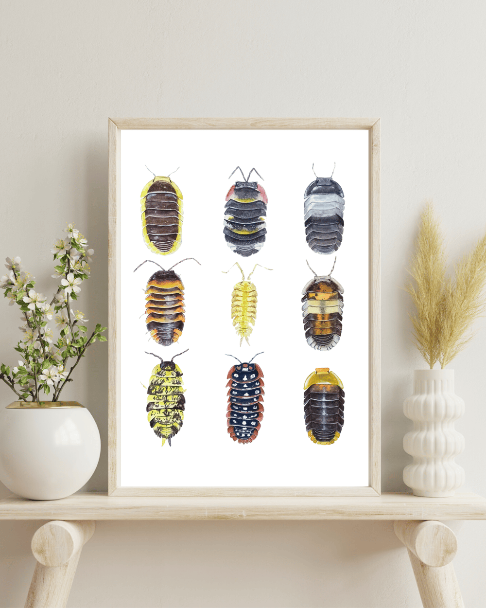 Image of Isopods Study Watercolor Illustration PRINT 
