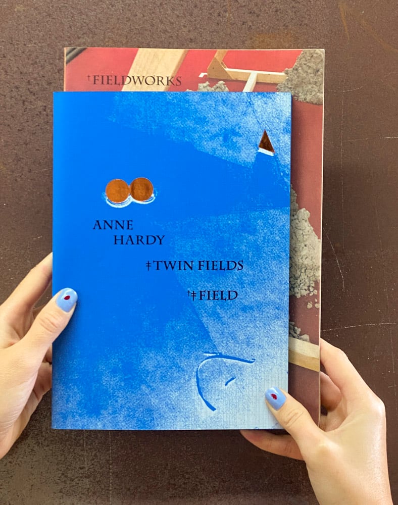 Image of FIELD / TWIN FIELDS / FIELDWORKS BOOK