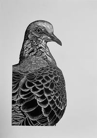 Image 1 of Turtle Dove 1 Original Lino Print