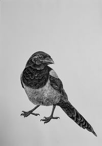 Image 1 of Magpie 1 Original Lino Print