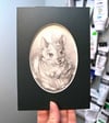 Chinchilla – graphite drawing