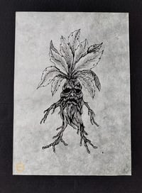 Image 1 of Mandrake Screenprint
