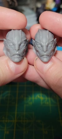 Image 2 of Fishmen heads! (And more) 