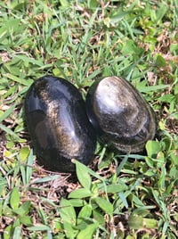 Image 1 of Gold Sheen Obsidian Palmstones