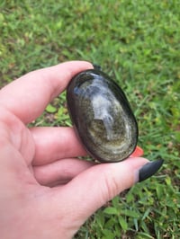 Image 4 of Gold Sheen Obsidian Palmstones