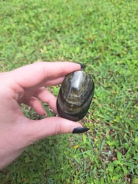 Image 5 of Gold Sheen Obsidian Palmstones