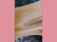 Image 4 of Icee Chai Latte