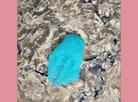 Image 5 of Neon Blue Crunch