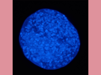 Image 3 of Glow Pink Gravel