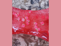Image 3 of Strawberry Smoothie