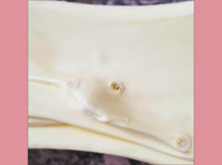 Image 4 of Sunshine Yellow