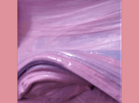 Image 4 of DIY Clay Kit Peony 404