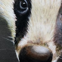 Image 3 of Badger cub 'Bracken' ~ Removable Wall sticker