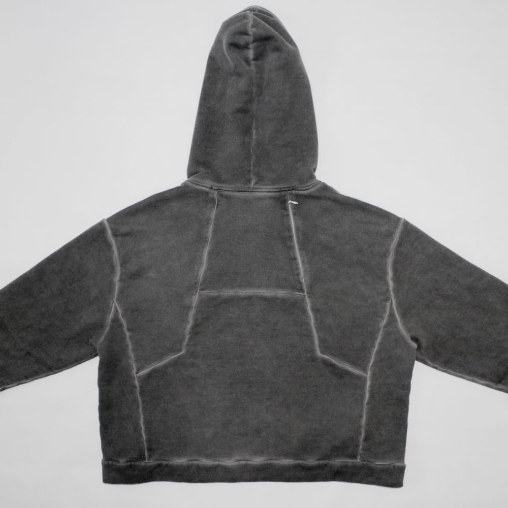 Image of PANELED OBJECT DYED HOODIE