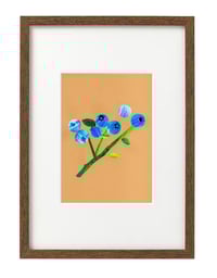 Image 3 of Blueberry