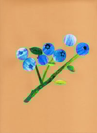 Image 1 of Blueberry