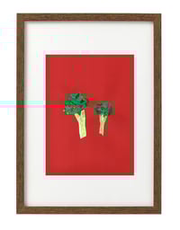 Image 3 of Broccoli