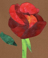 Image 2 of Rose in Vase