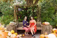 Image 2 of 2025 LIMITED PUMPKIN MINI SESSIONS - $199+ tax 