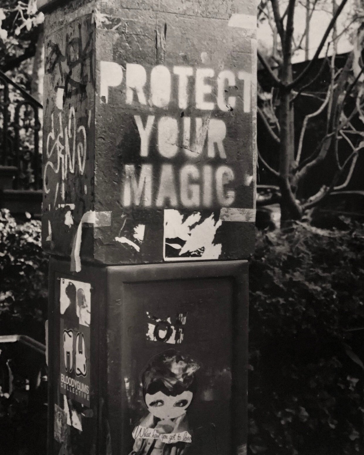 Image of Protect Your Magic