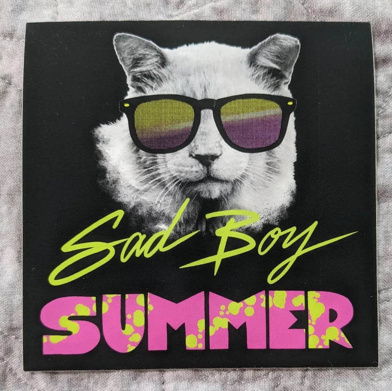 Sad Boy Summer Sticker catscapes