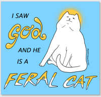 I Saw God And He Is A Feral Cat - Sticker