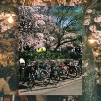 Image 1 of spring in japan prints pack