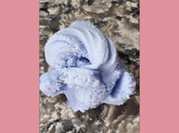 Image 2 of Cloud Lavender