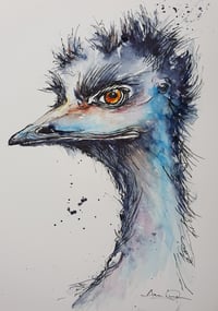 Brutus the Emu