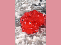 Image 5 of Candied Apple Squish