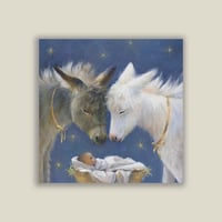 Donkeys keeping watch