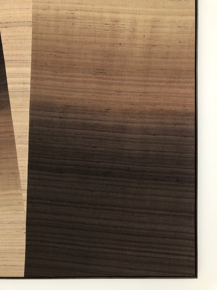 Image of large dipdyed silk composition (browns)