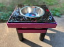 Epoxy Design Raised Pet Feeder