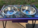 Multi-color Epoxy Design Raised Feeding Station