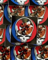 5 Pack Steal Your Band Stickers