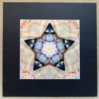 "Moth Star" Matted Giclee Print of Digital Collage