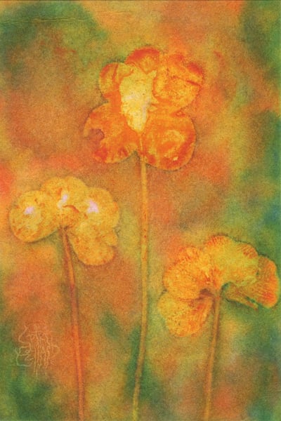 Image of "Triple 4-Leaf Clover" - 4"x6" Print