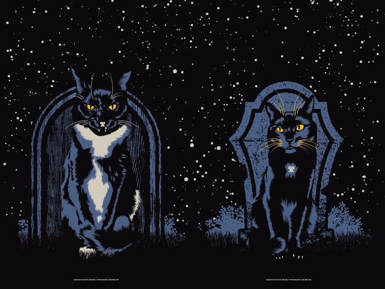 Image of The Black Cats
