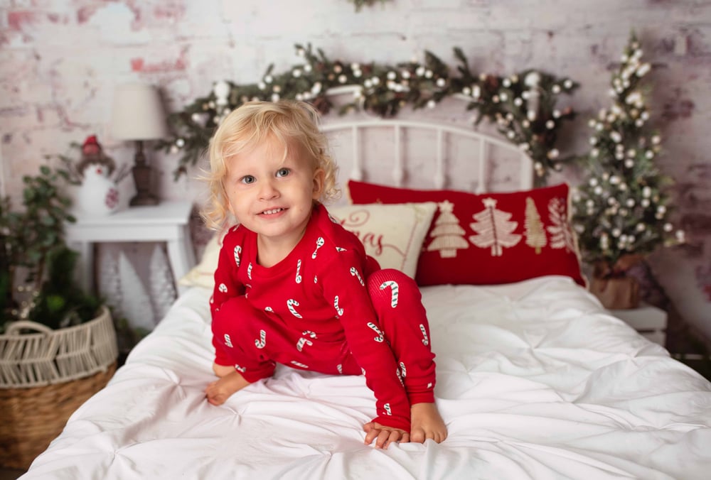Image of Indoor Christmas Minis 2023