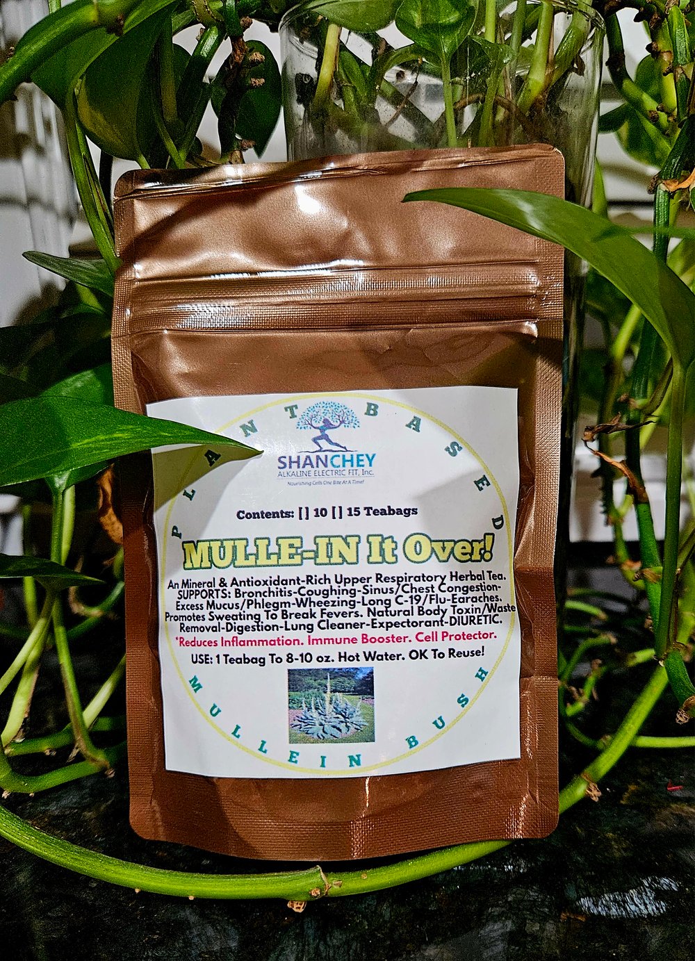MULLE-IN It Over! Mullein Bush Leaf Tea For Respiratory-Breathing-Lung-Fever-Cough Support