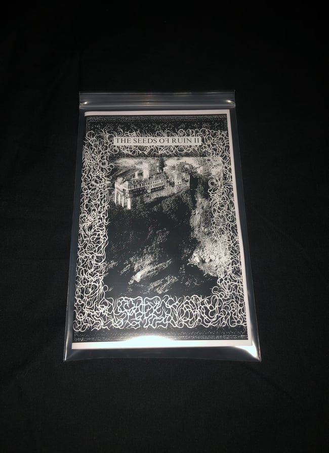 "The Seeds Of Ruin II" Compilation CS ***LAST COPIES