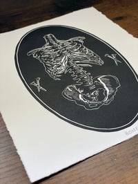 Image 2 of Bones