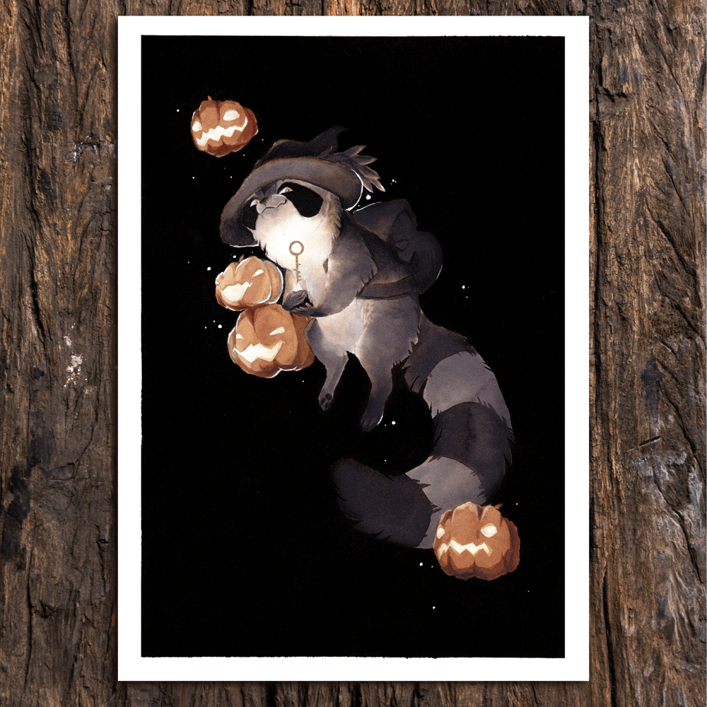 Image of Merchant Raccoon Prints